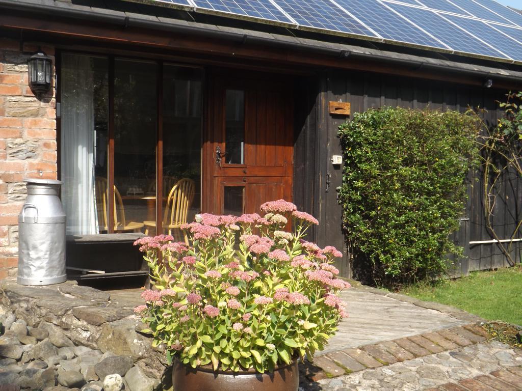 Irfon Cottage Builth Wells Exterior foto